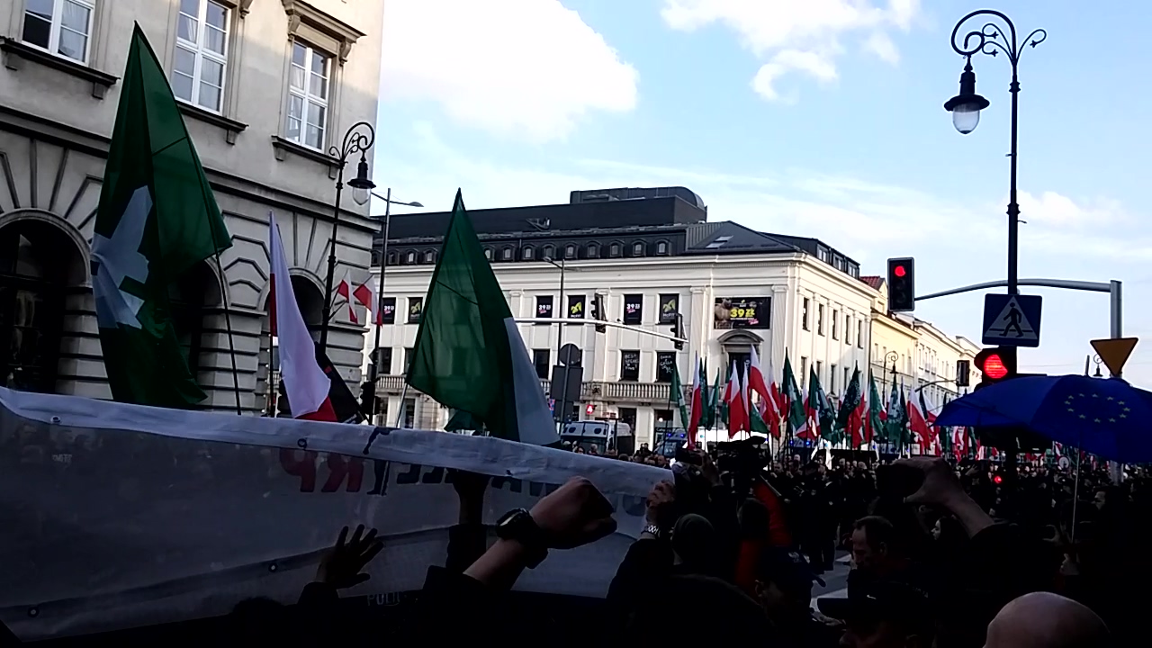Marsz ONR w Warszawie. Kilkuset uczestników i incydent na Nowym Świecie  [ZDJĘCIA]