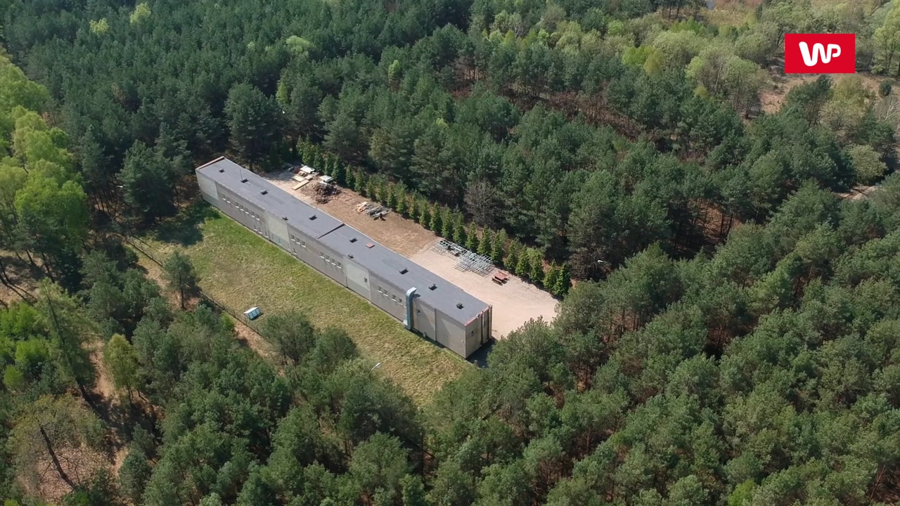 Zapomniany Klempicz. Wielki plan budowy elektrowni jądrowej zastopowany  przez Czarnobyl